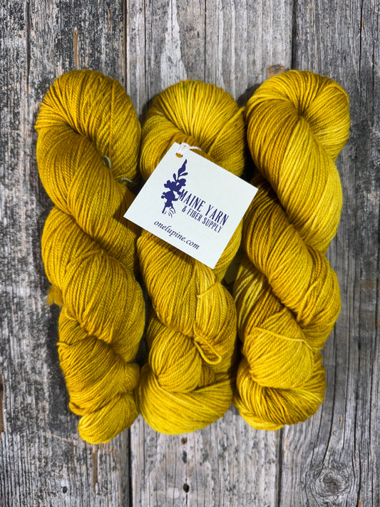 Katahdin: Dutch Mood