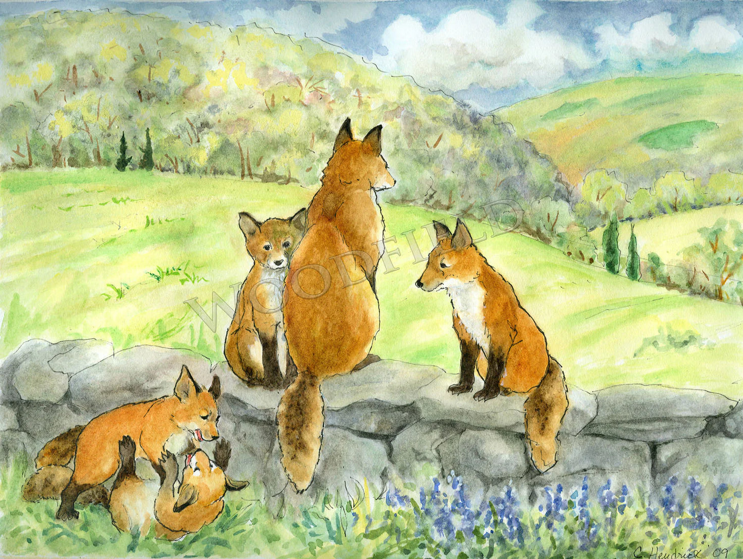 Spring Foxes - Greeting Card by Woodfield Press