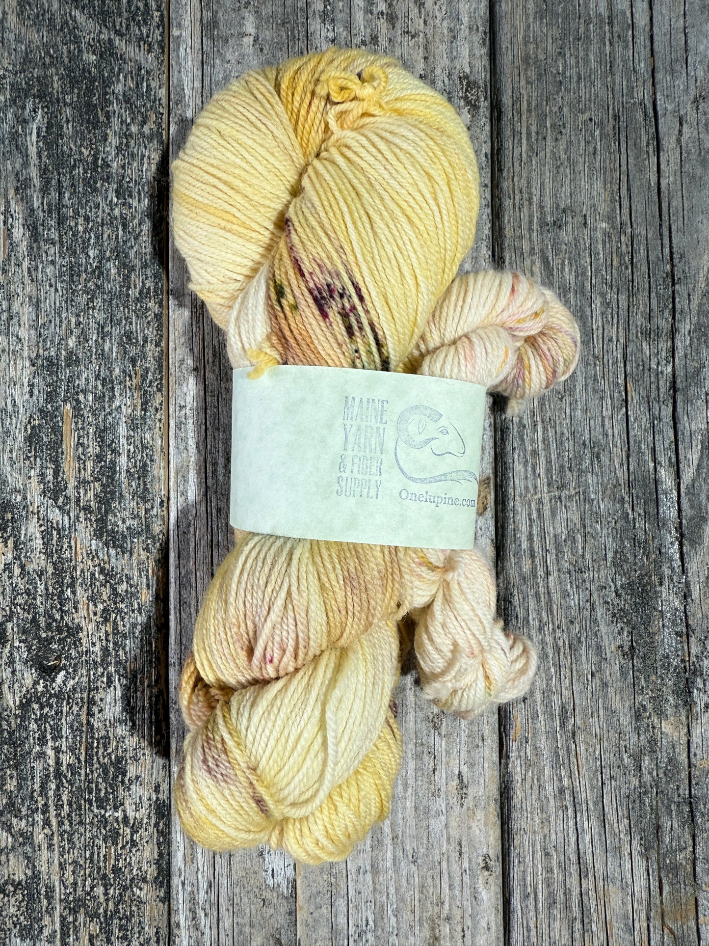 Schoodic: Golden Chai + Spring Confetti - Riff Shawl Kit