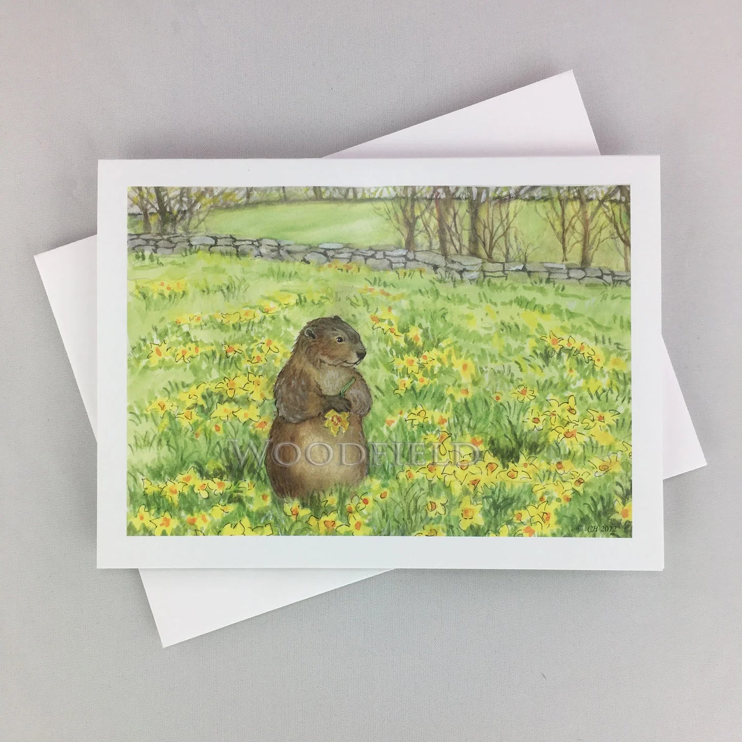 Daffodil Meadow - Greeting Card by Woodfield Press
