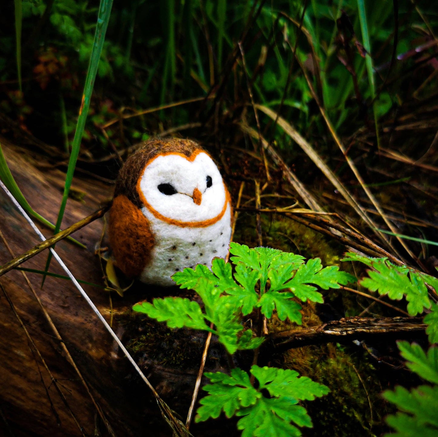 Owl Needle Felting Kit by Benzie Design