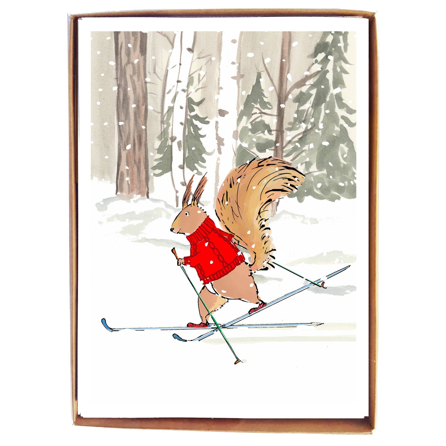 Red Squirrel Skiing - Box Card Set by Molly O
