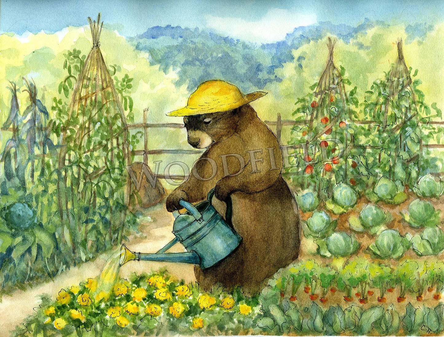 Old Mr Chuck - Greeting Card by Woodfield Press