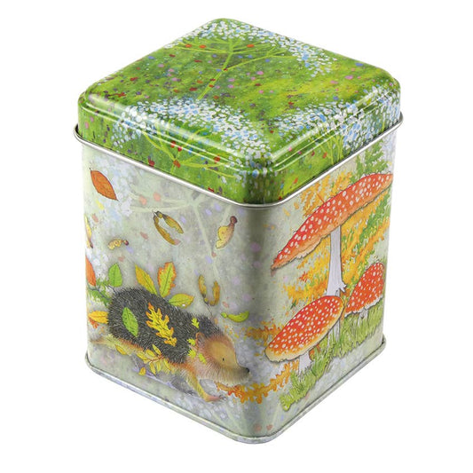 Hedgehog 100g Rectangular Tin from Emma Ball Ltd