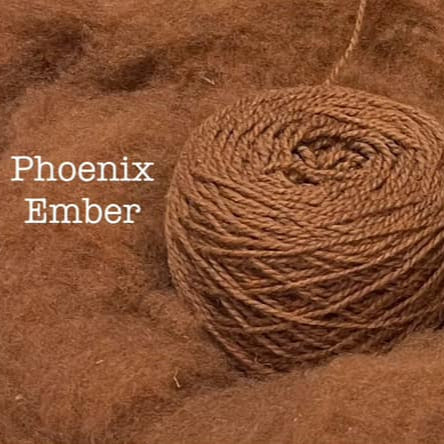 Briggs & Little Sport: Phoenix