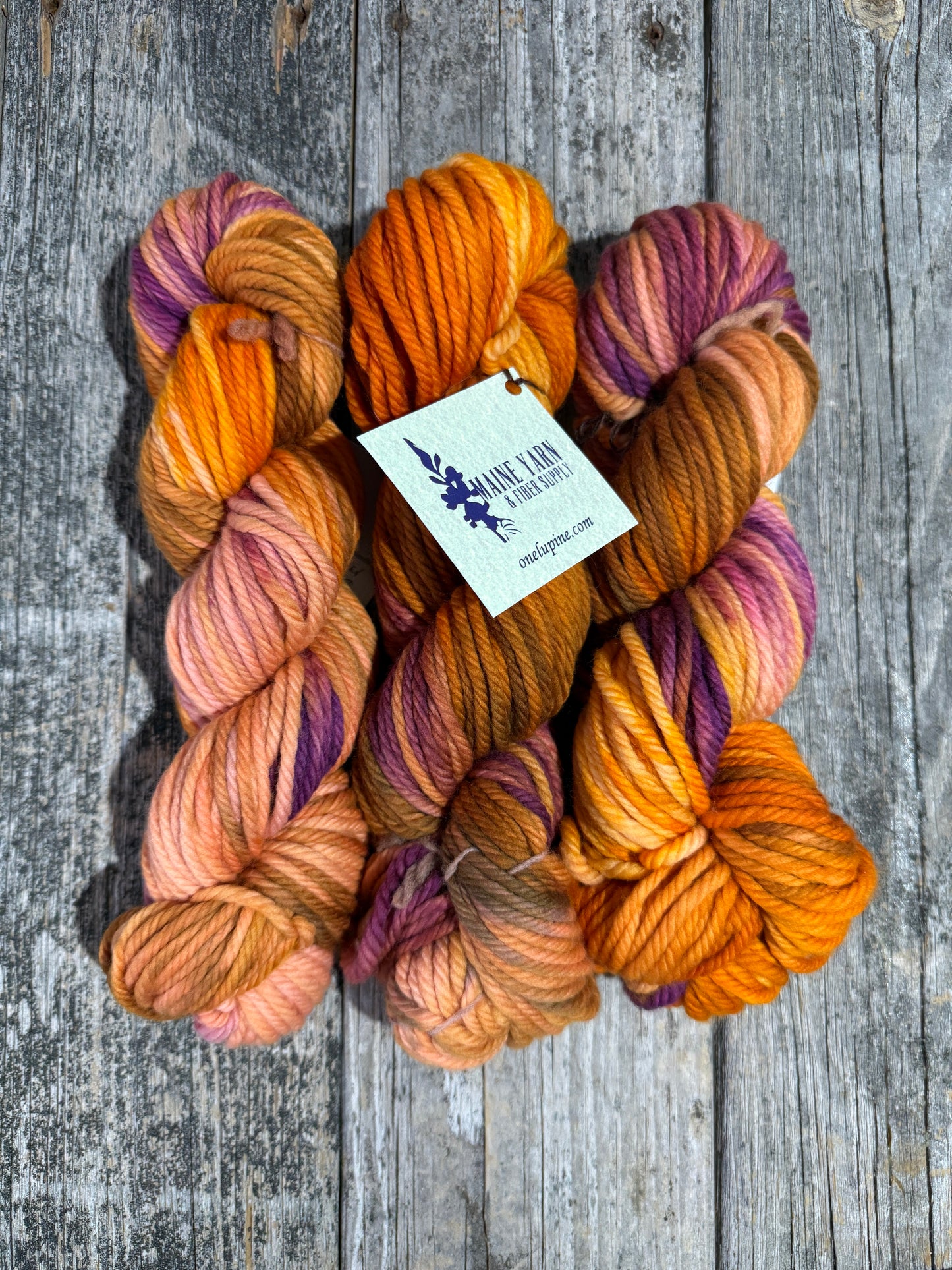 Allagash: Indian Summer