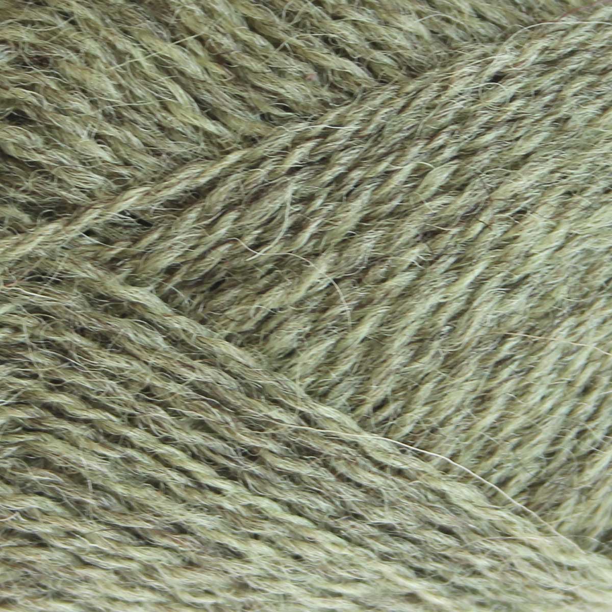 Pip Colourwork: Chevin Green by Baa Ram Ewe
