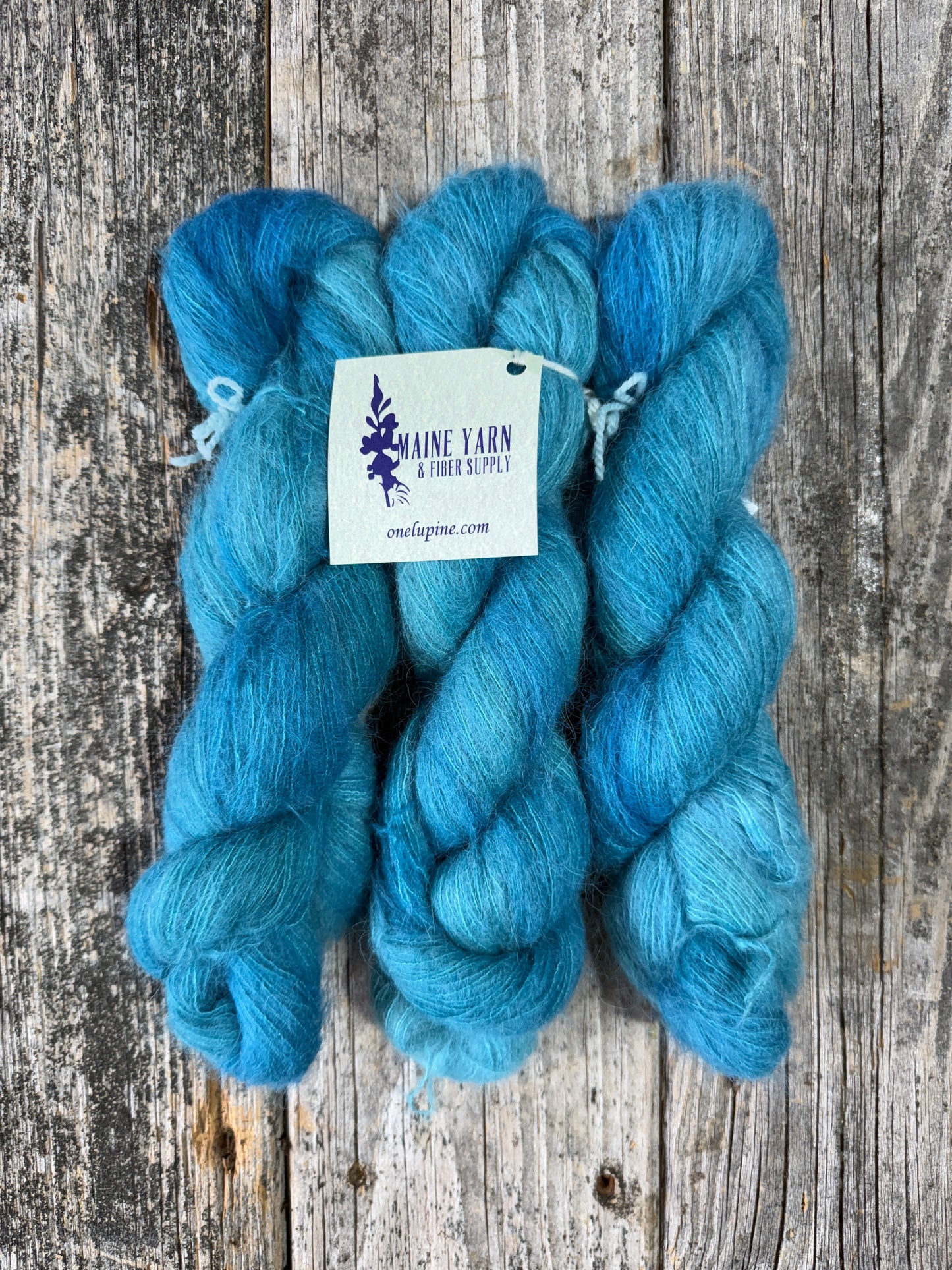 Winterport: Teally Teal