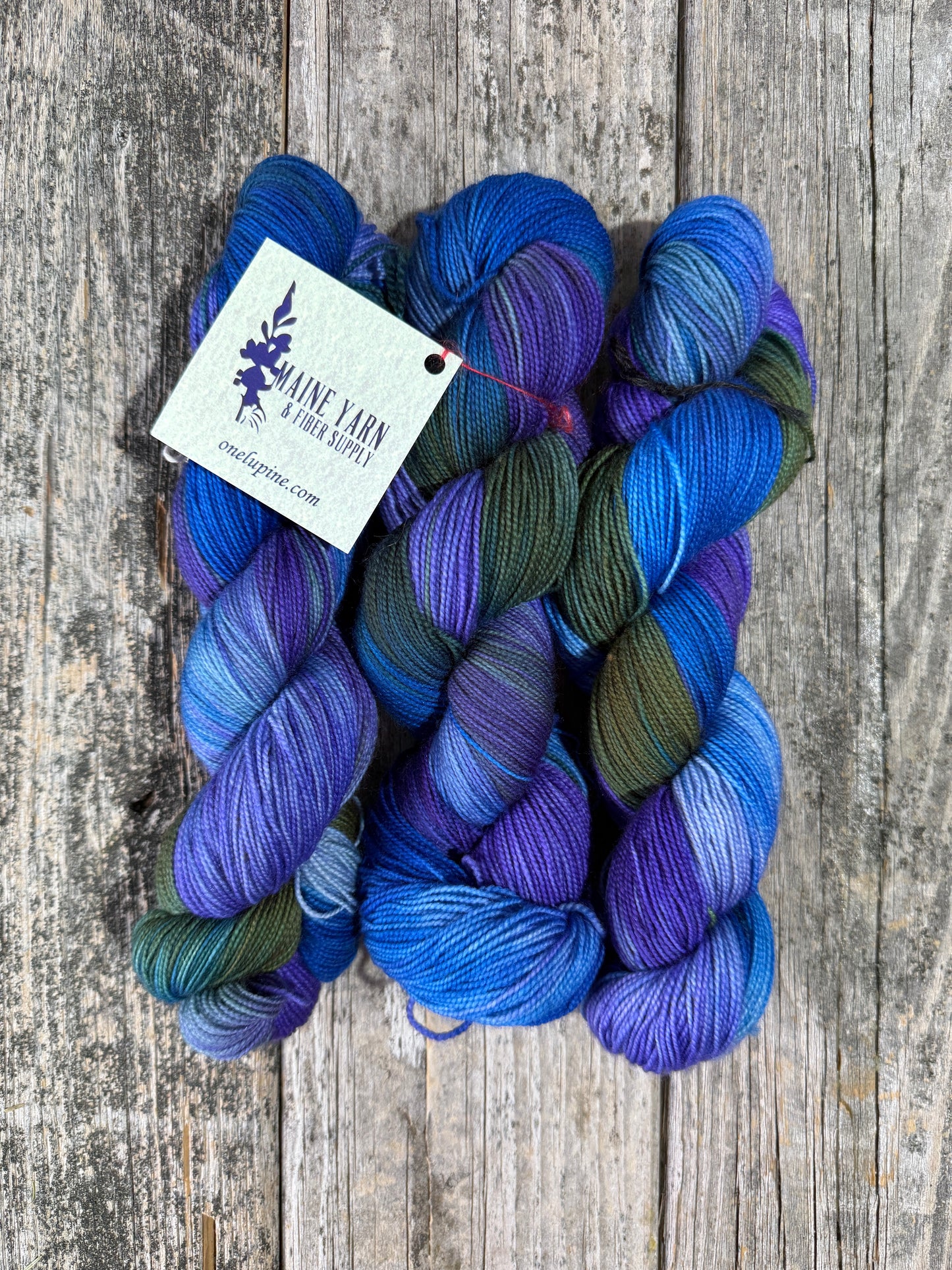 Pemaquid: Lakes & Lupines