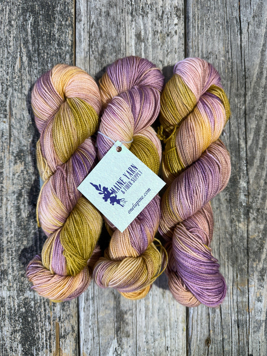 Pemaquid: Anjou