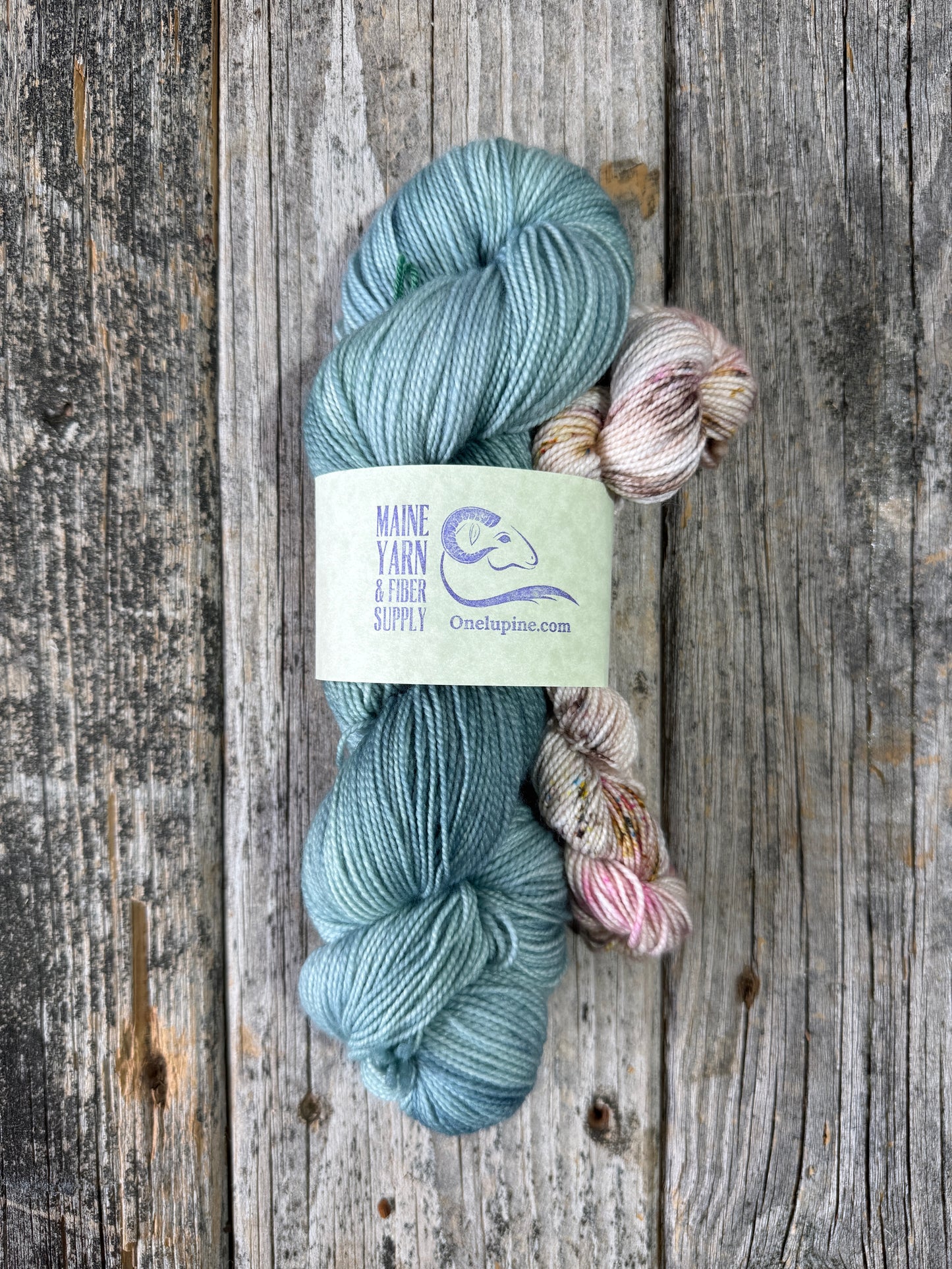 Pemaquid: Echo Lake + Botanical - Riff Shawl Kit