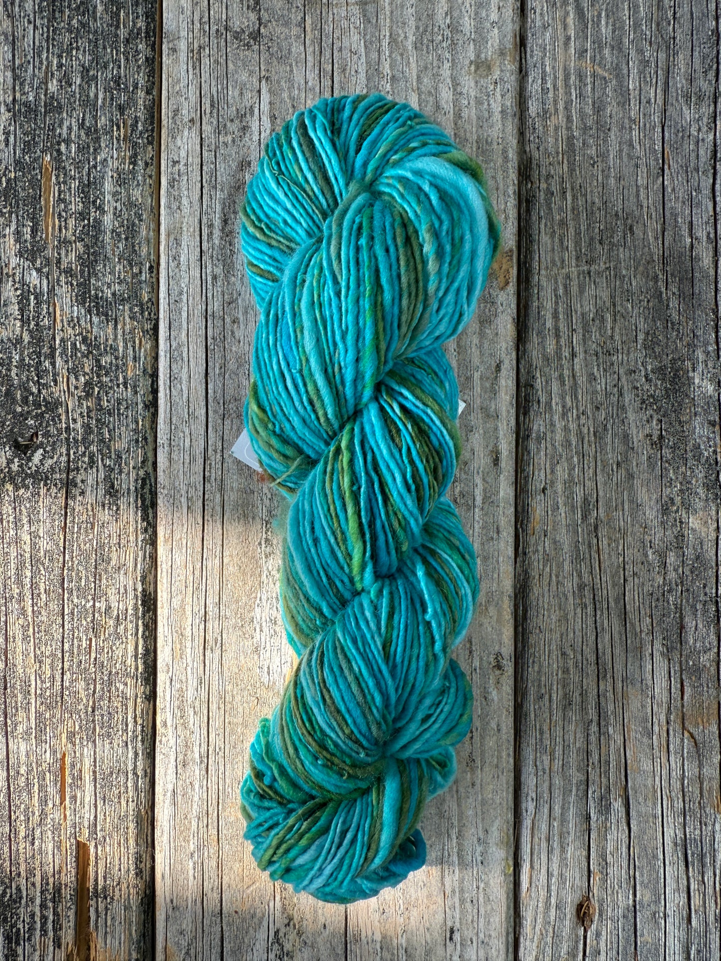 Hand Dyed and Spun Polwarth 3.3oz “Kelpy”