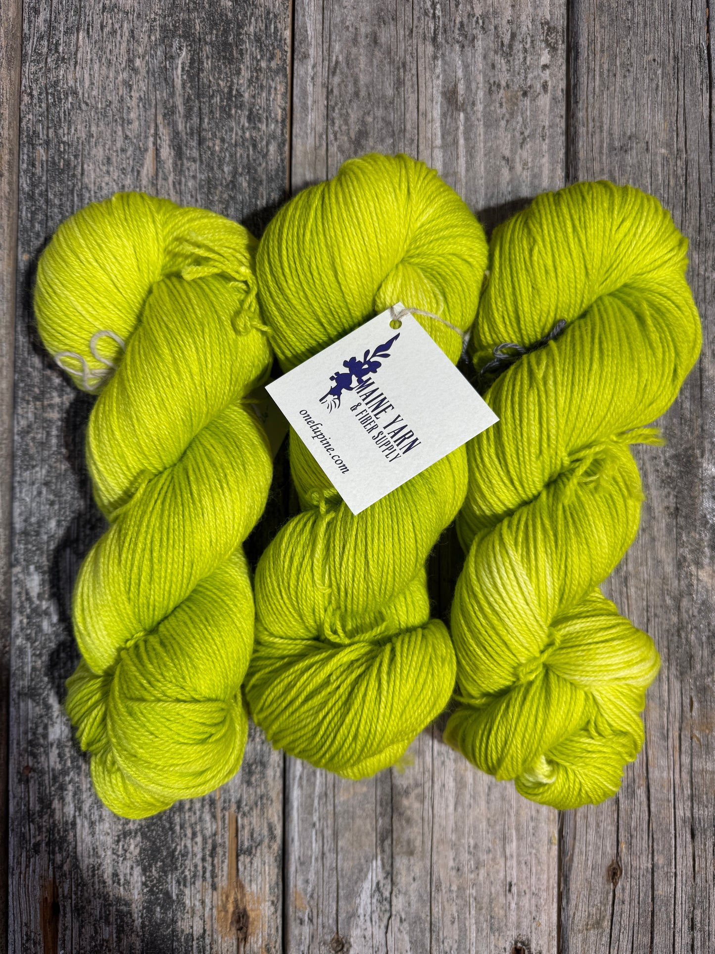 Schoodic: Chartreusey