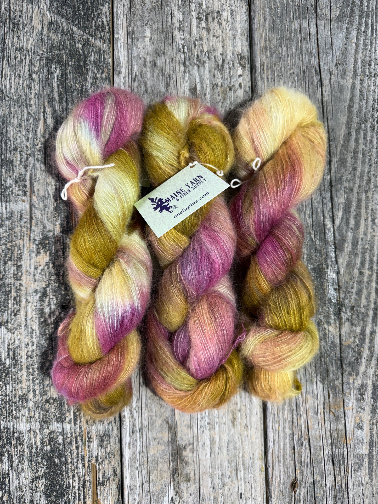 Winterport: Anjou
