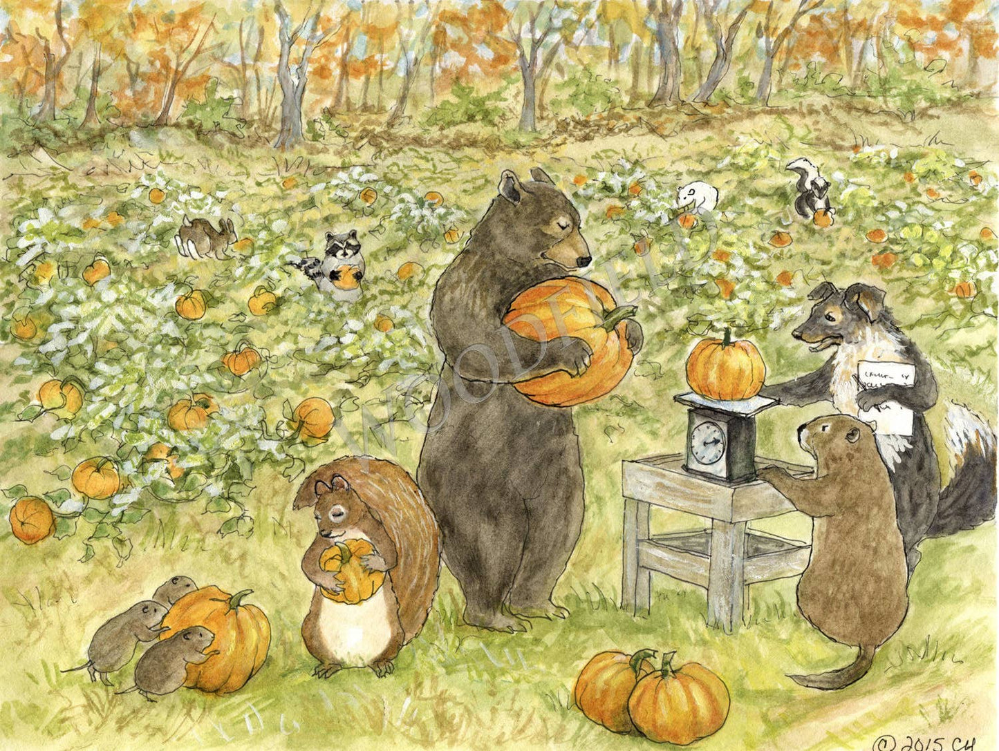 Pumpkin Patch - Greeting Card by Woodfield Press