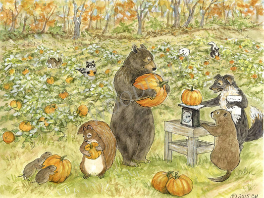 Pumpkin Patch - Greeting Card by Woodfield Press