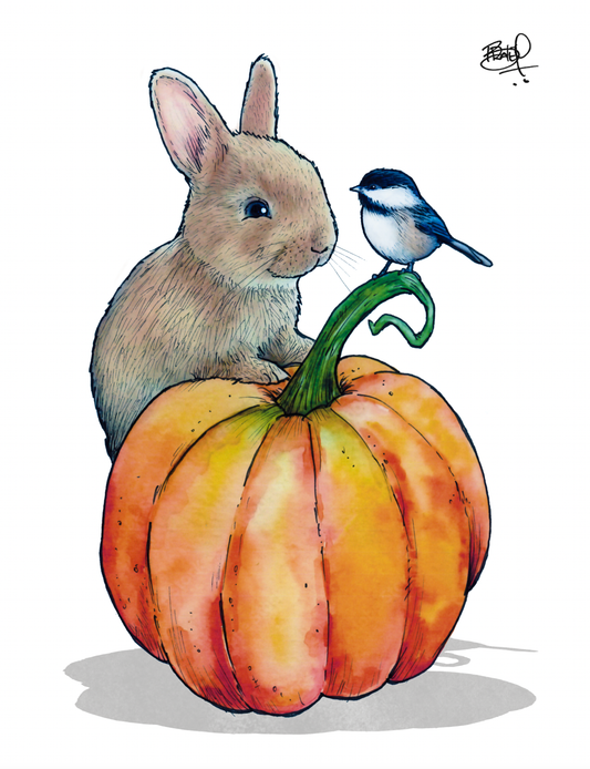 Pumpkin Greeting Card (blank inside) by Shawn Braley Illustration