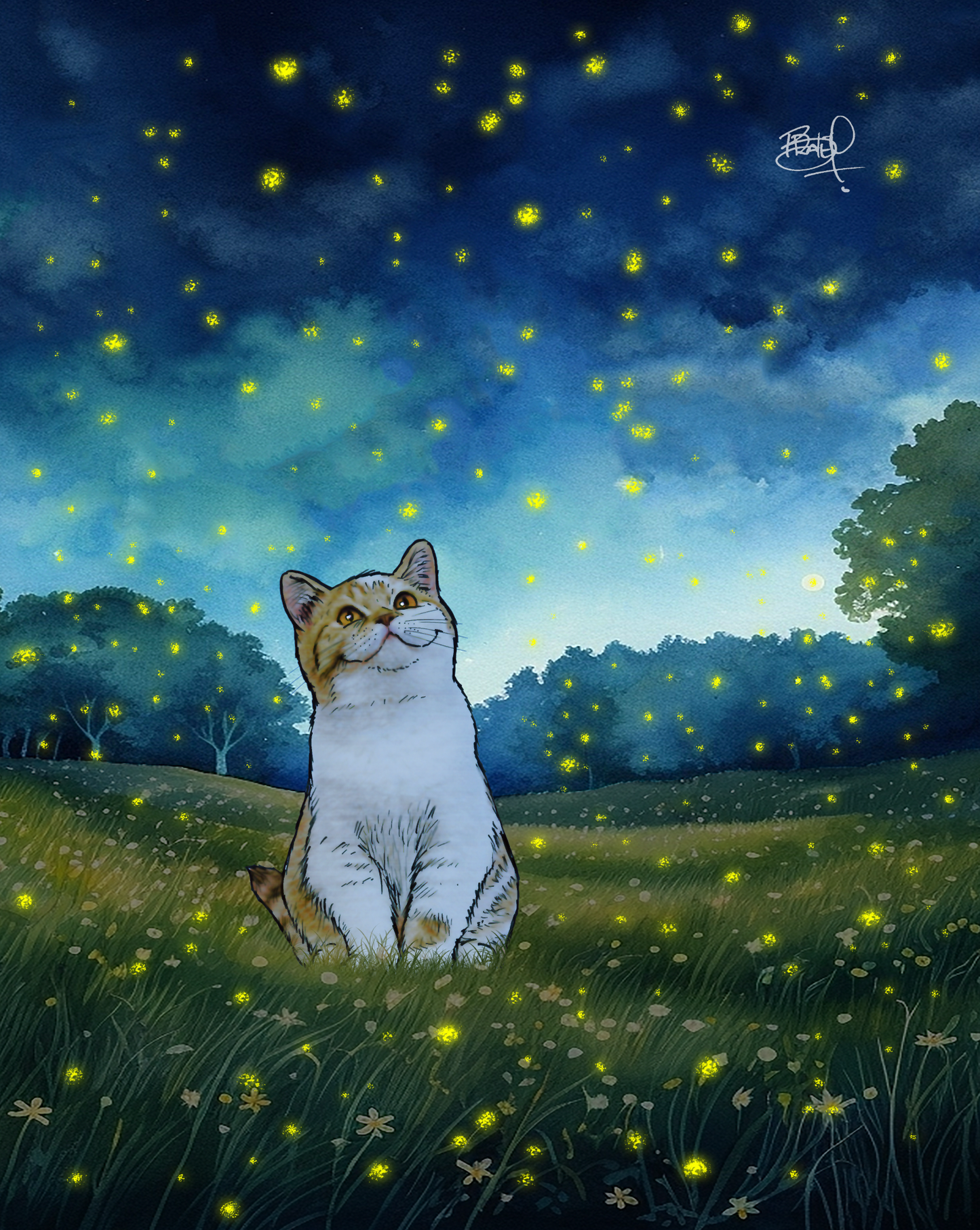 Lightshow Greeting Card (blank inside) by Shawn Braley Illustration