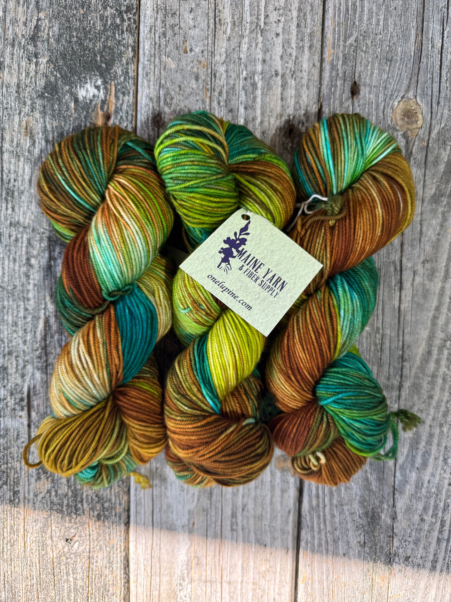 Dexter DK: Cedar Swamp