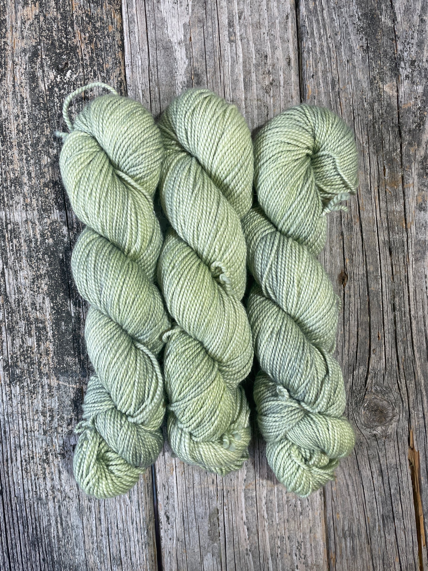 Rockport: Light Lichen
