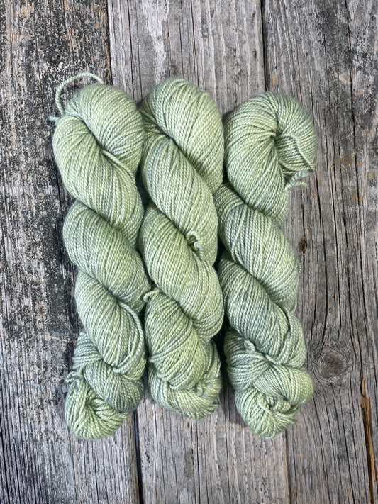 Rockport: Light Lichen