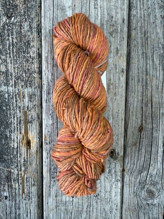 Hand Dyed and Spun Polwarth 4.3oz “Melons”