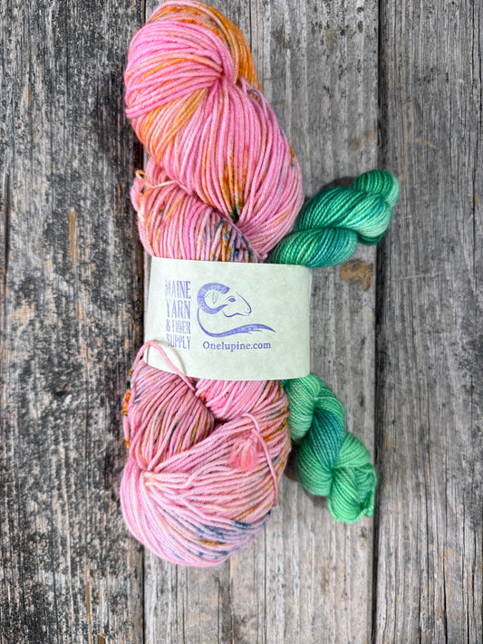 Saco: Cancun + Arboretum - Riff Shawl Kit