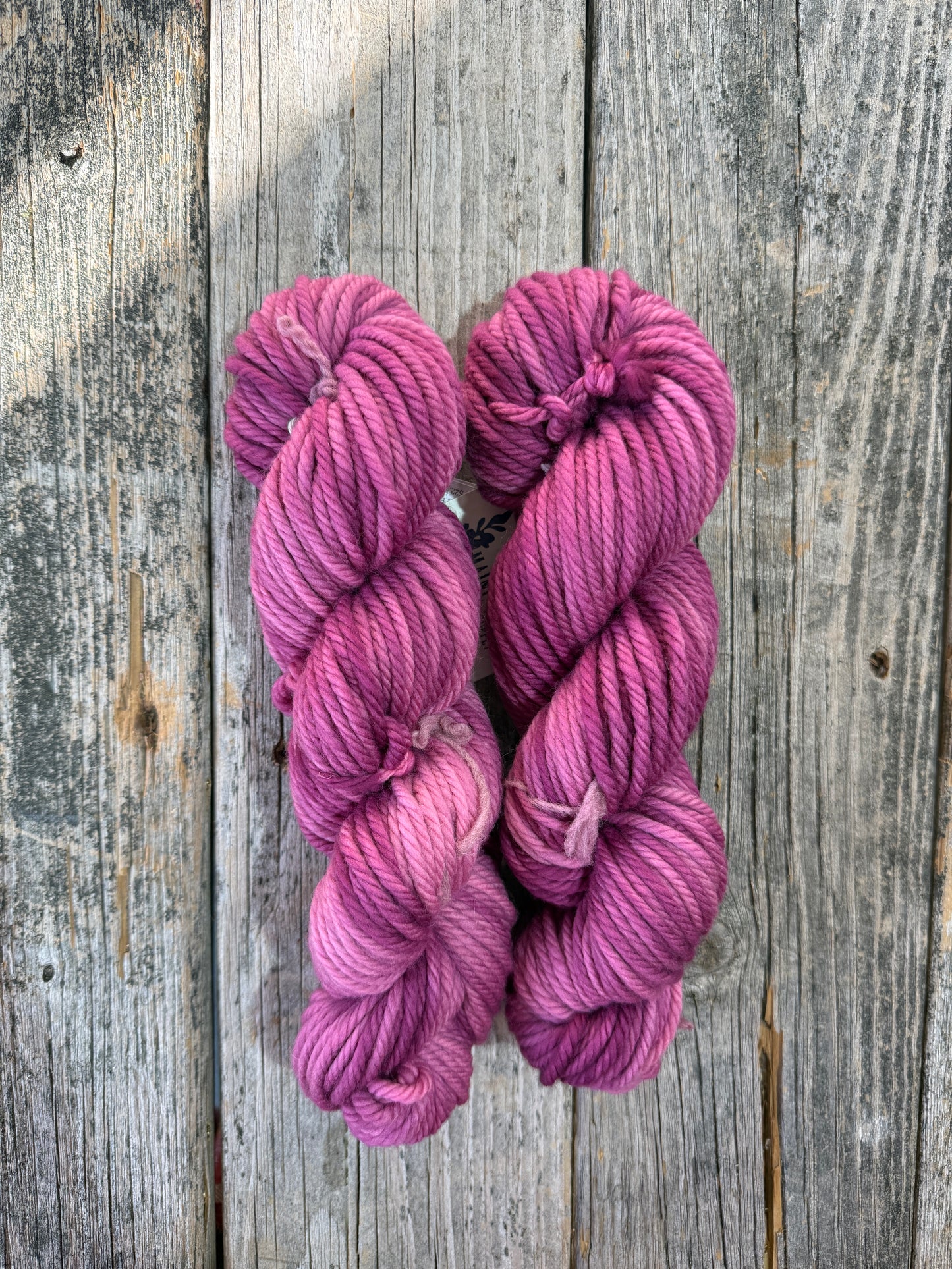 Allagash: Belle Epoch