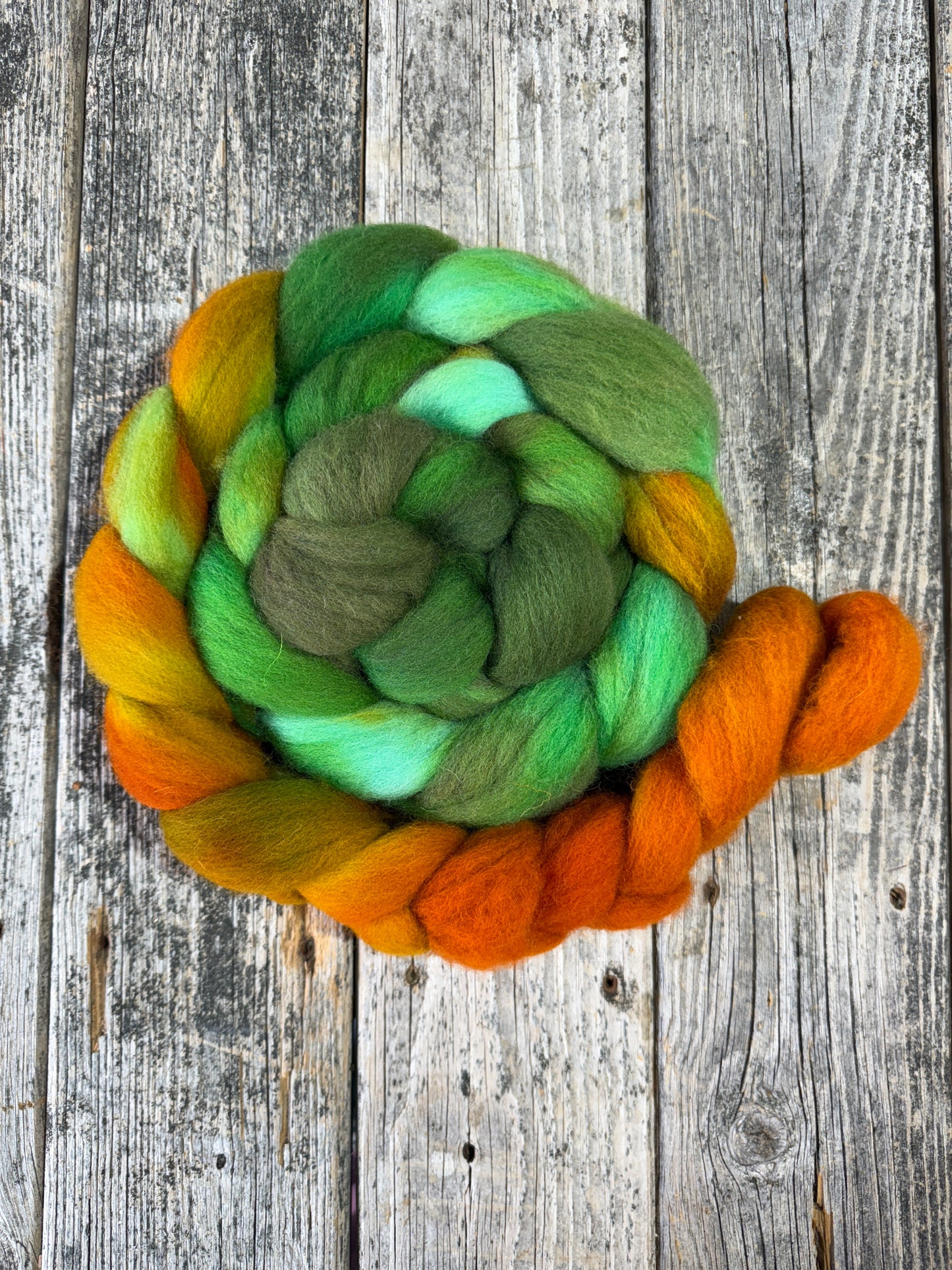 Hand Dyed Cheviot Top Fiber Braid 7.1oz “Cedar Swamp Gradient”