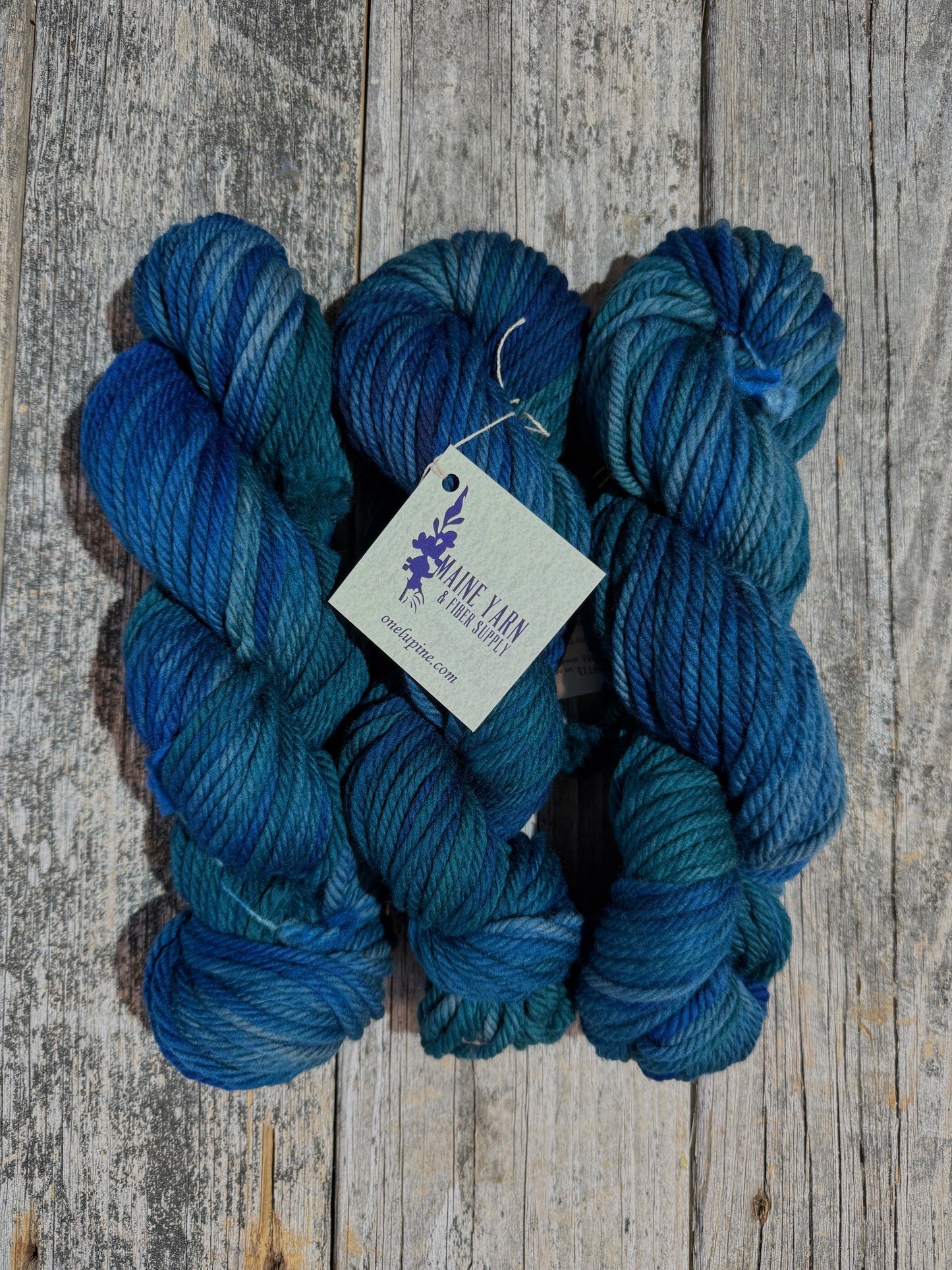 Save 20% - Allagash: Woods & Waters