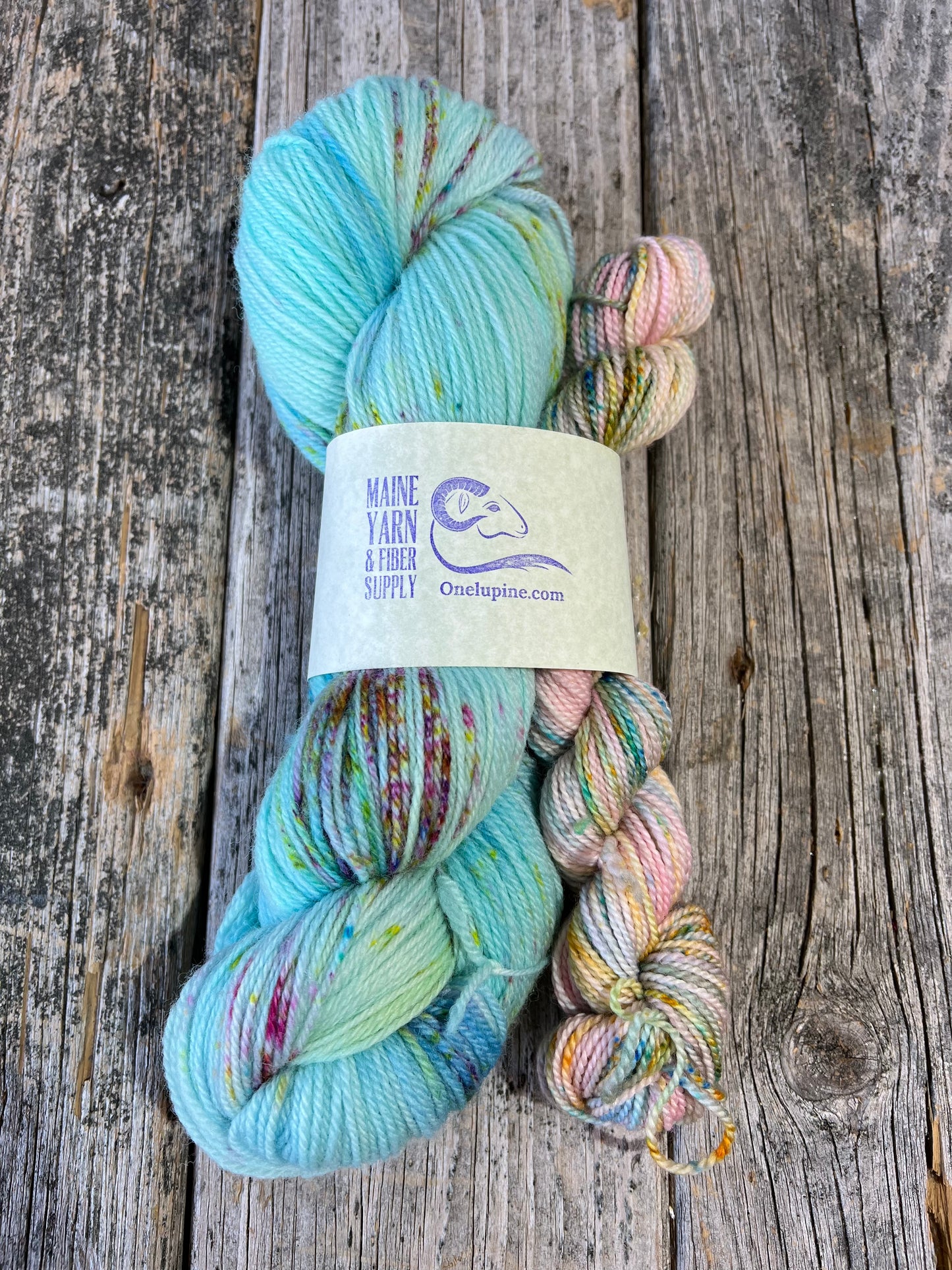Schoodic: Speckled Egg + Cancun - Riff Shawl Kit