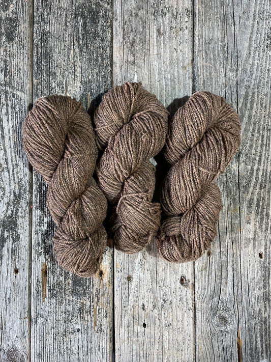 Briggs & Little Regal: Forest Brown - Maine Yarn & Fiber Supply