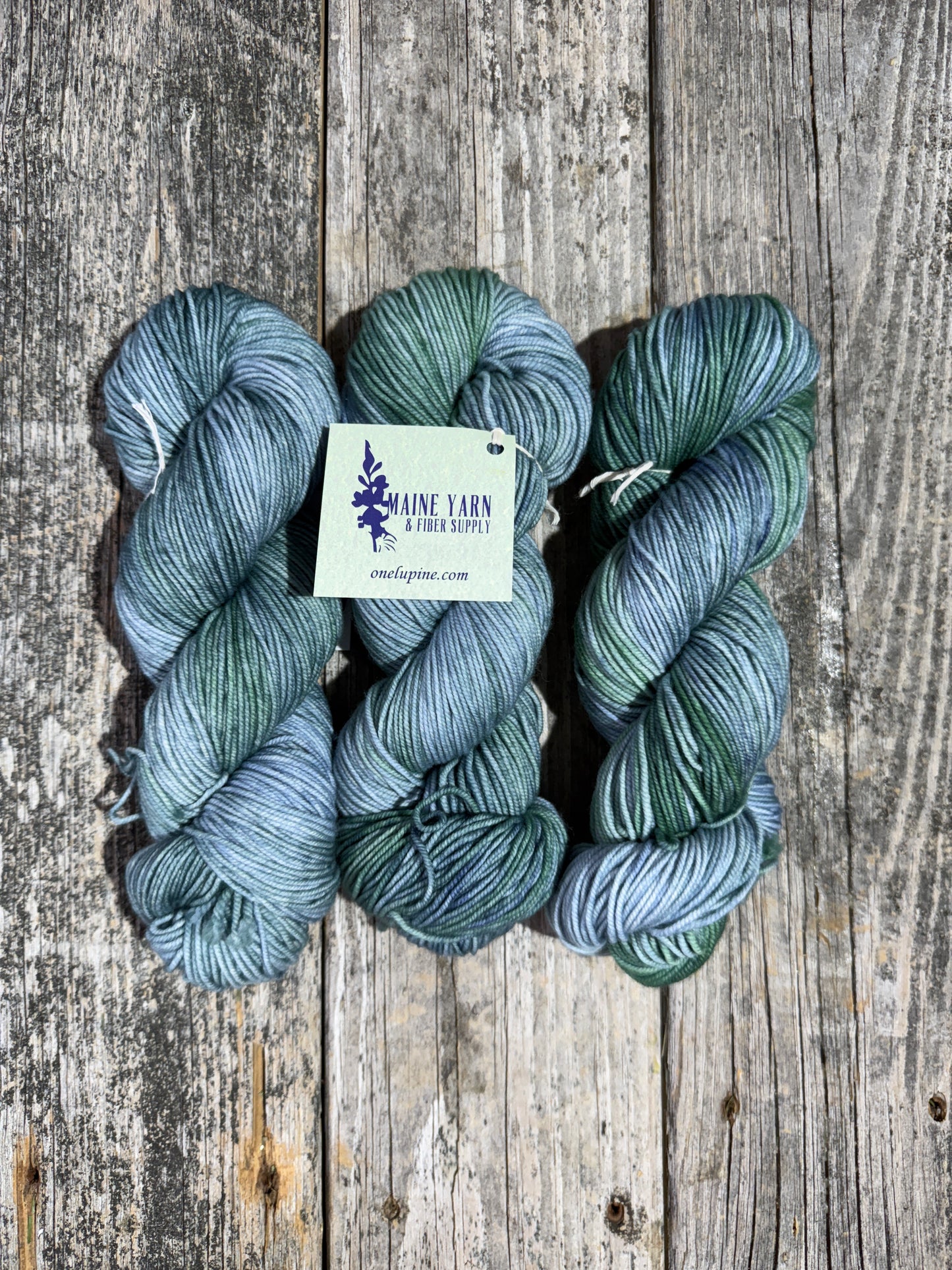 Dexter DK: Echo Lake