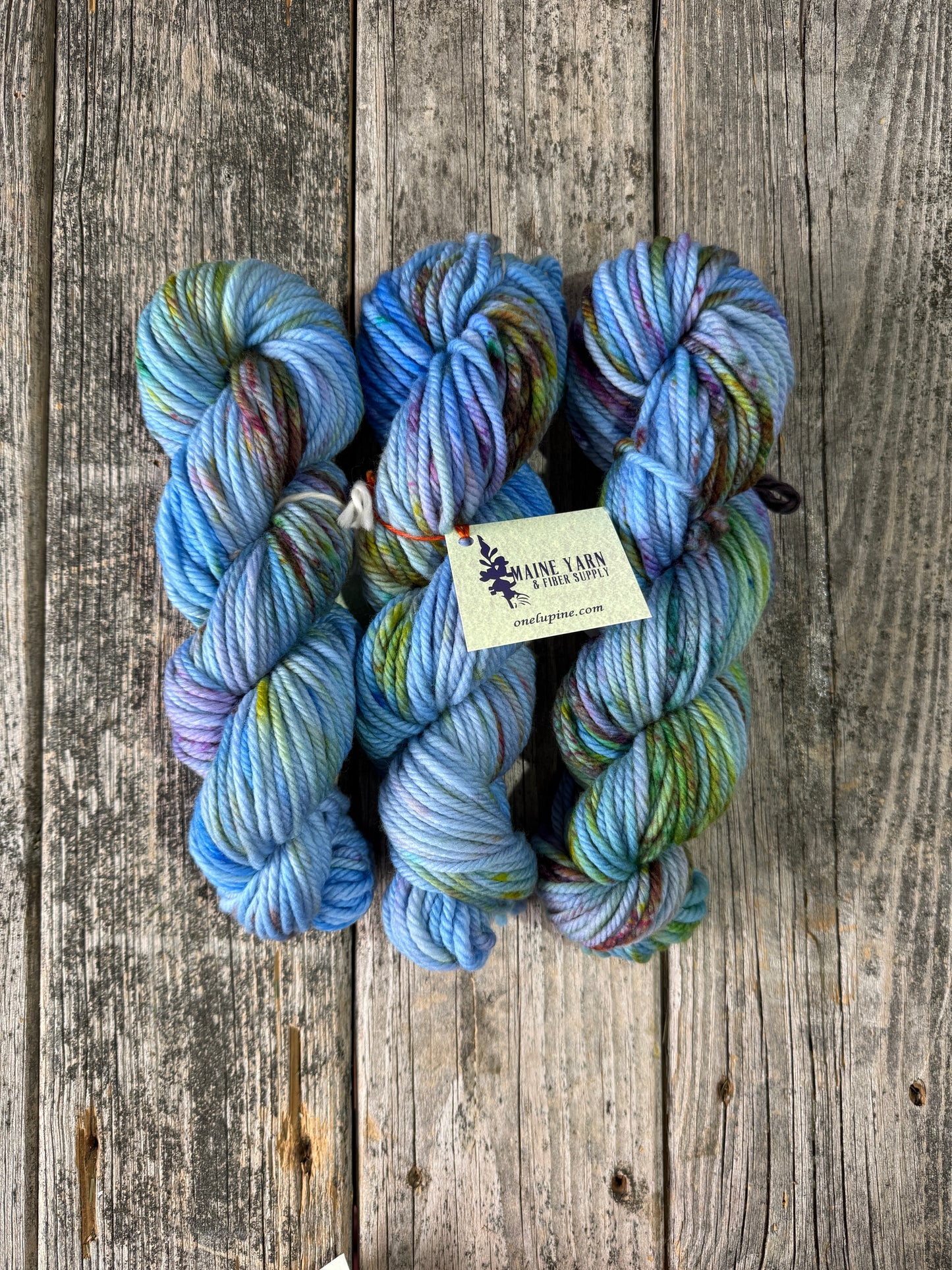 Allagash: Speckled Egg