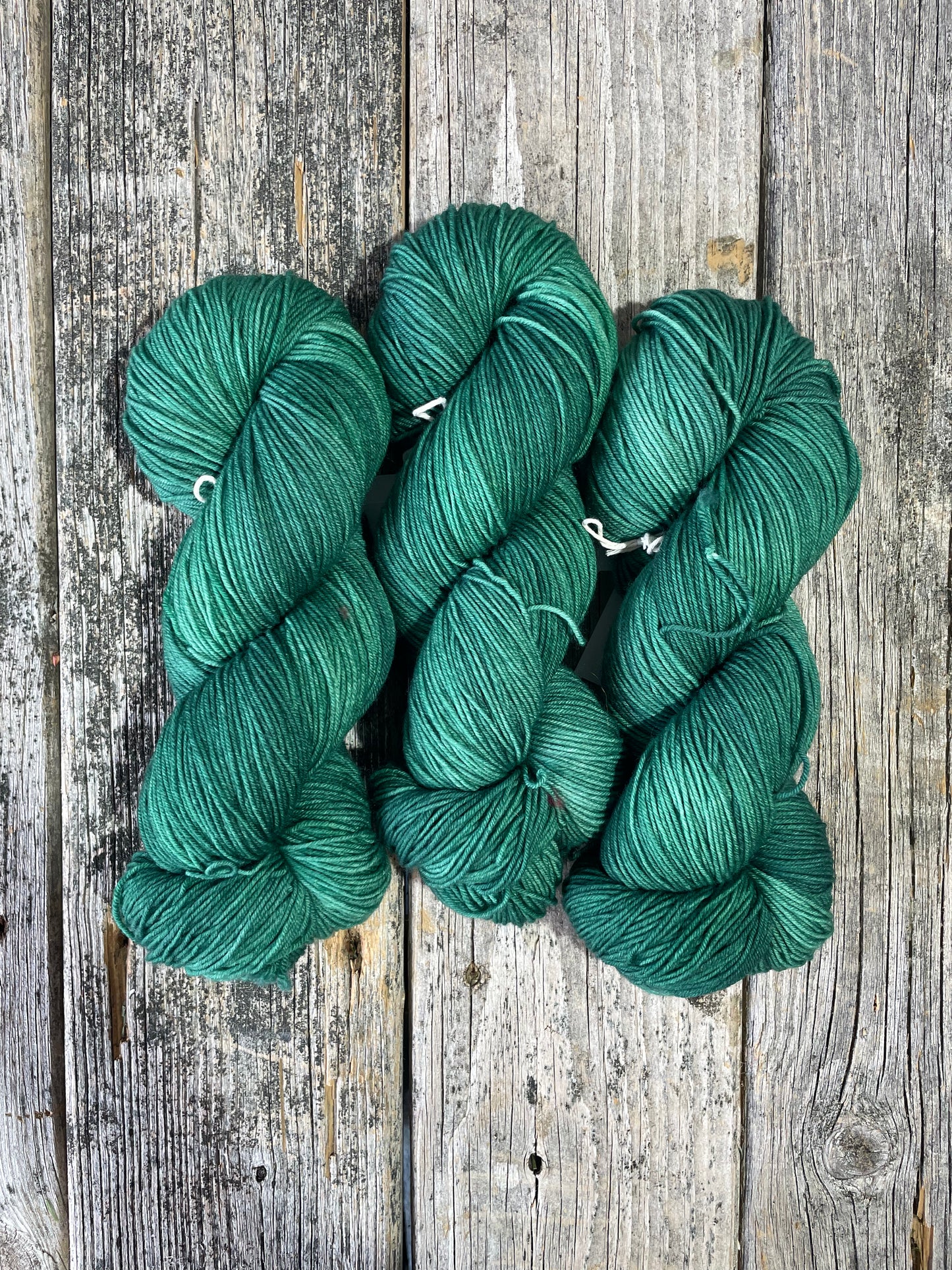 Saco: Verdigris
