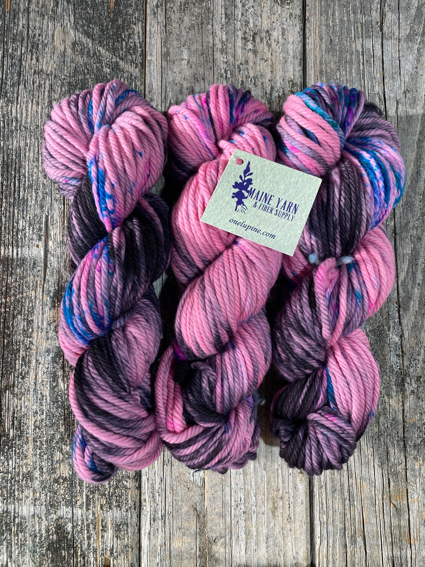 Save 20% - Allagash: Stray Cat Strut