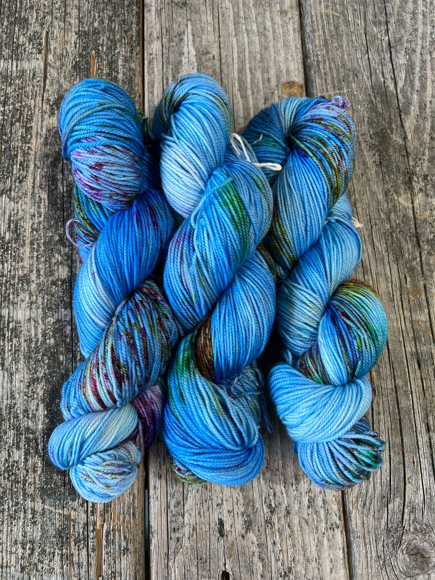 Katahdin: Speckled Egg