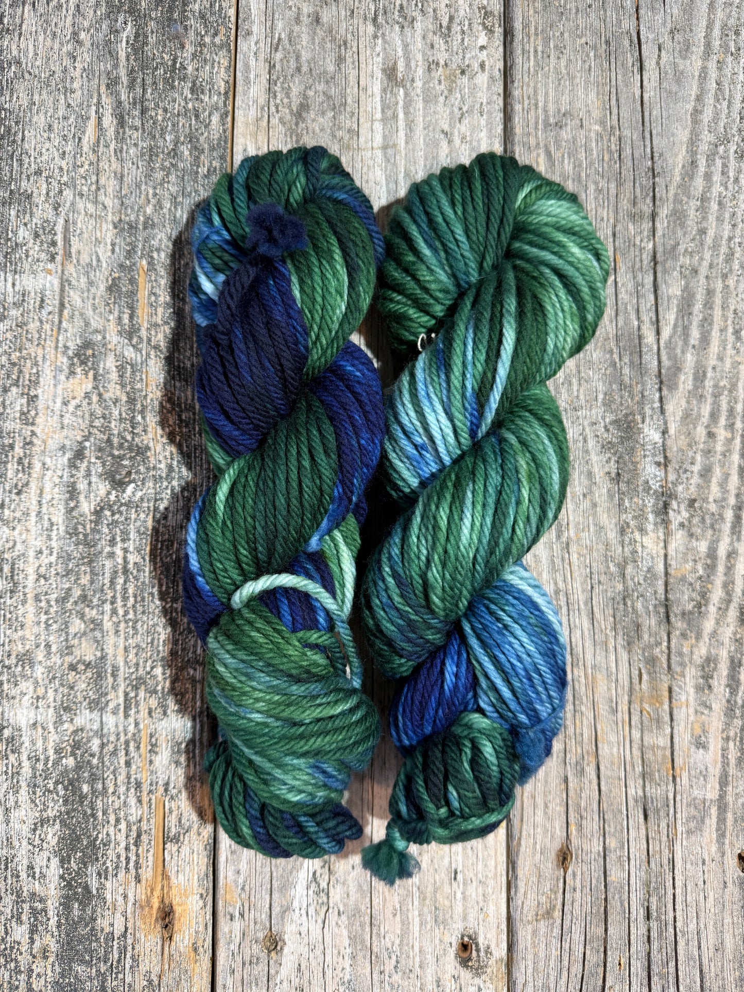 Save 20% - Allagash: Woods & Waters
