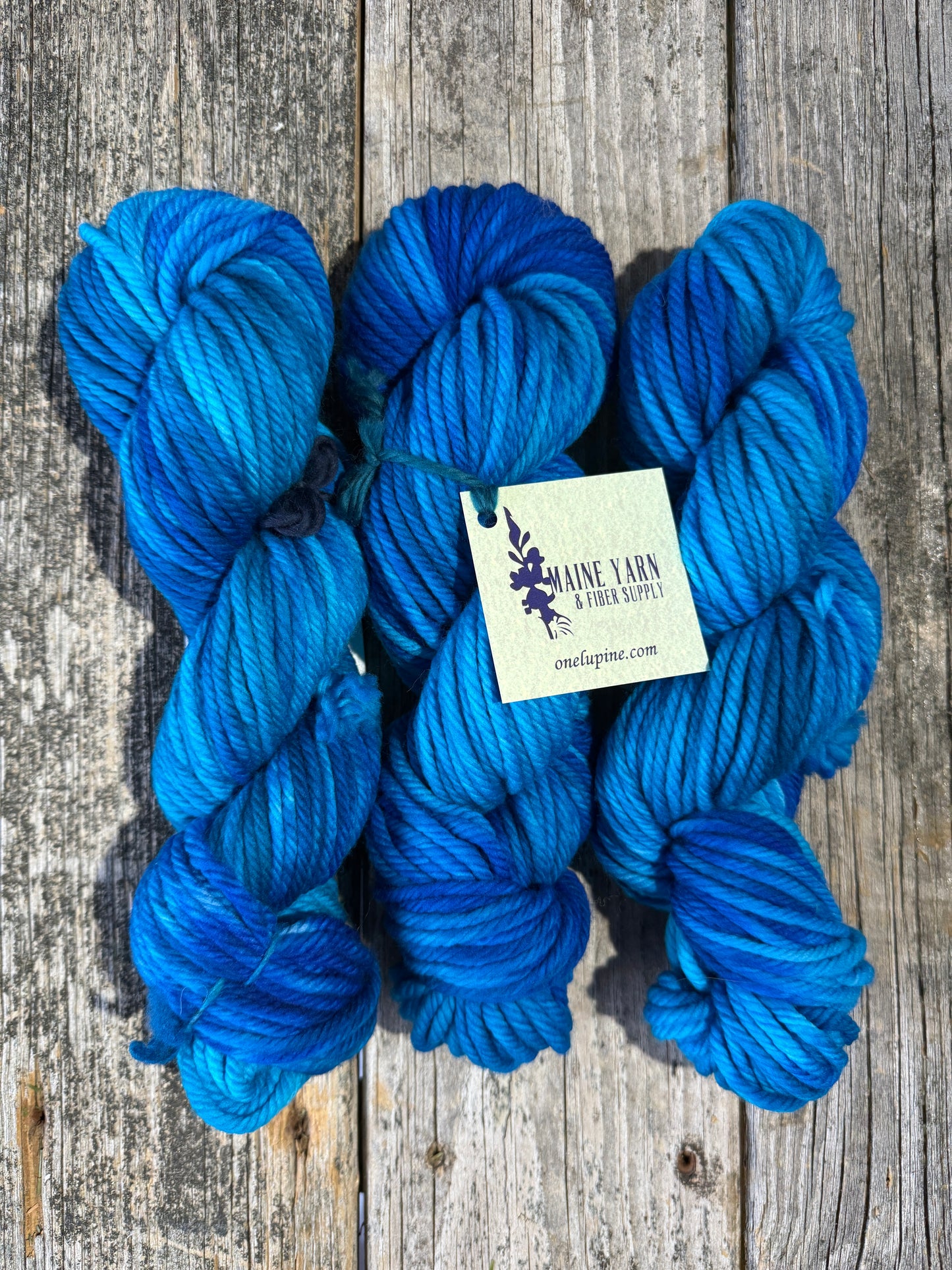 Save 20% - Allagash: Skinny Dipping