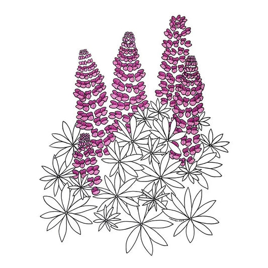 Lupines - Greeting Card by 3 Legged Dog Ink - Maine Yarn & Fiber Supply