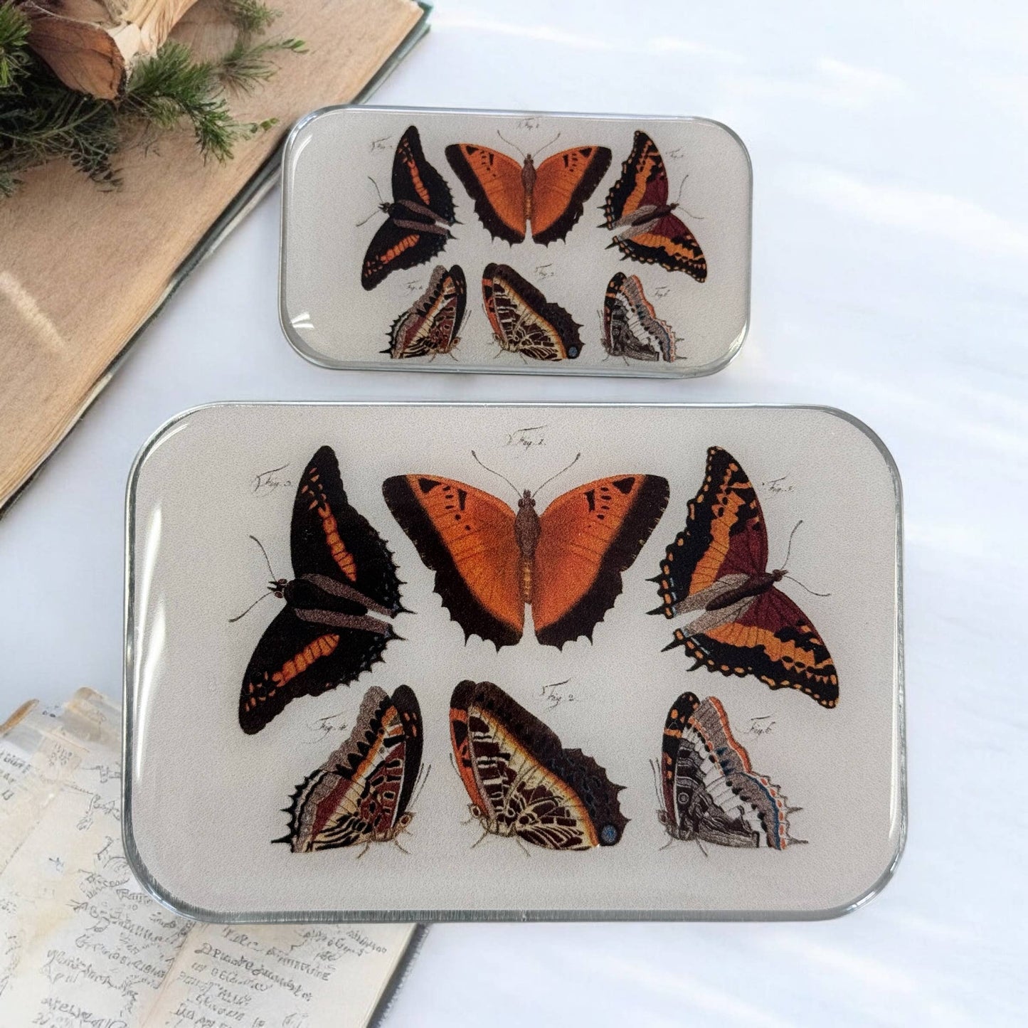 Orange Butterflies Notions Tin from Firefly Notes