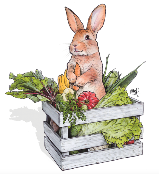 Salad Bar Greeting Card (blank inside) by Shawn Braley Illustration