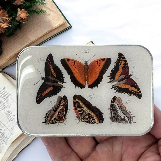 Orange Butterflies Notions Tin from Firefly Notes