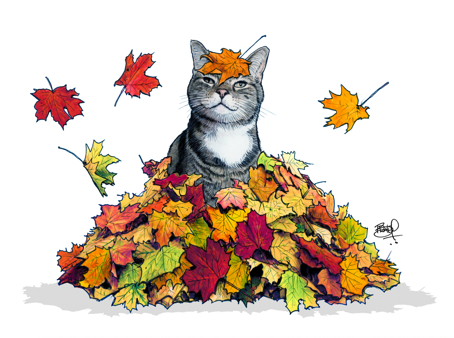 Leaf Lover Greeting Card (blank inside) by Shawn Braley Illustration