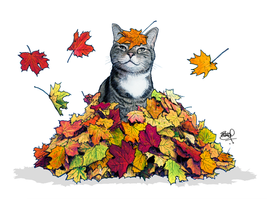 Leaf Lover Greeting Card (blank inside) by Shawn Braley Illustration