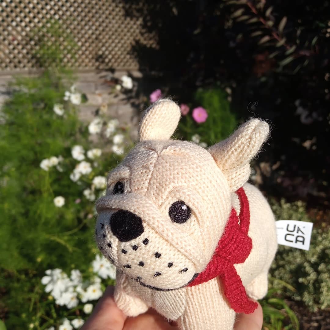 Knitted French Bulldog Rattle by Best Years