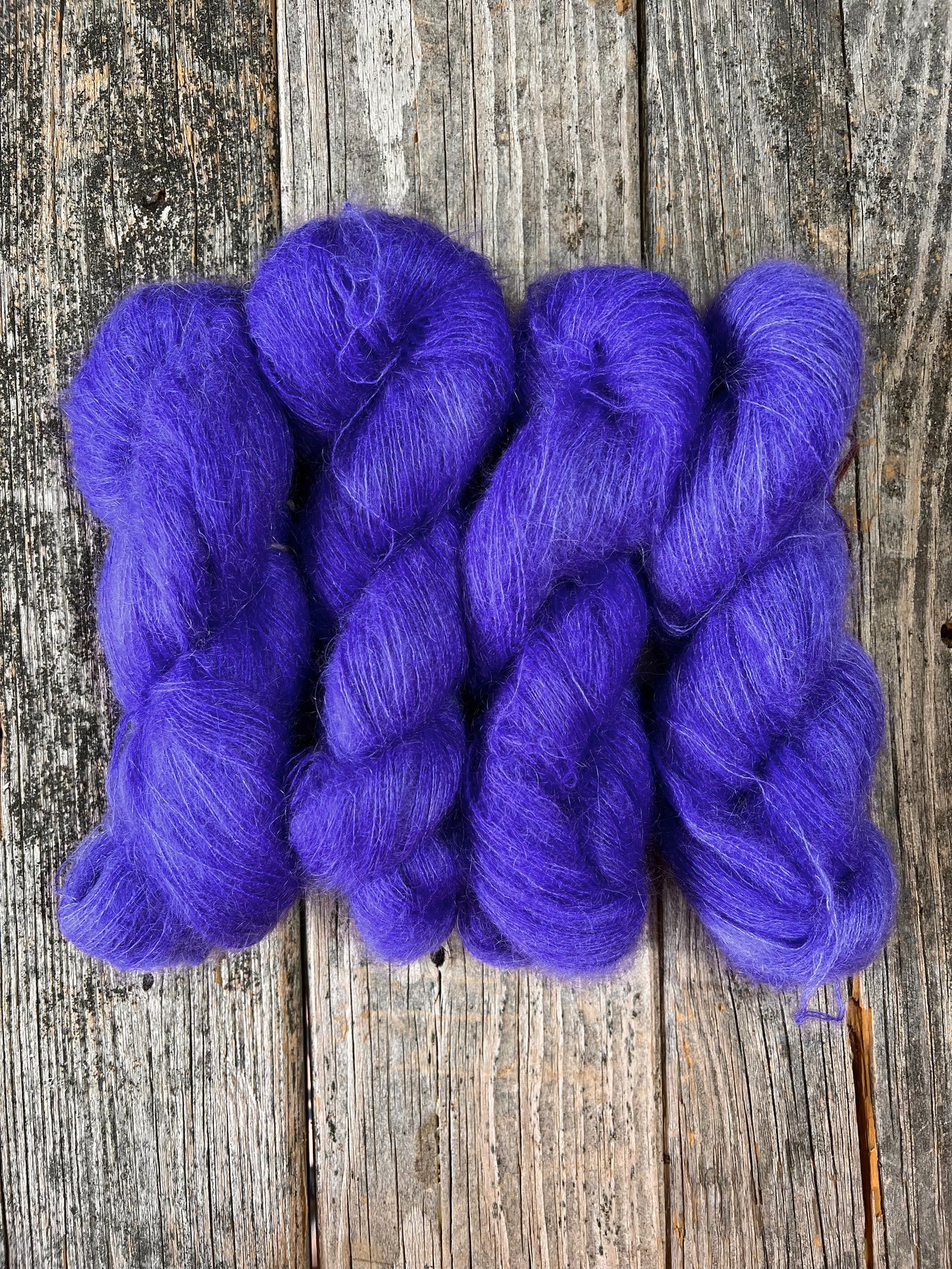 Stillwater: Lupine