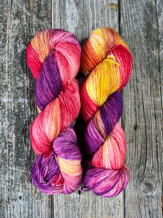 Schoodic: Zinnia