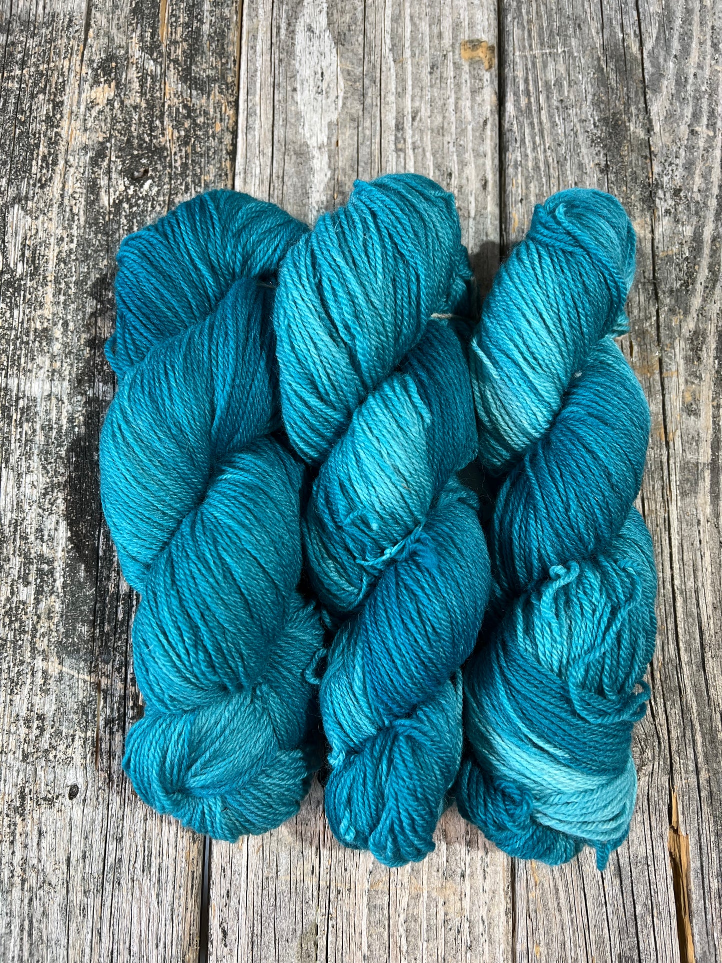 Schoodic: Teally Teal