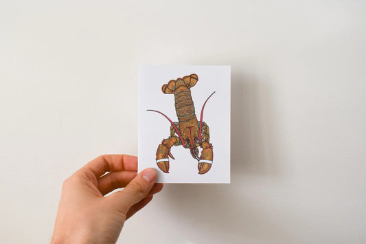 Lobster - Greeting Card by 3 Legged Dog Ink - Maine Yarn & Fiber Supply